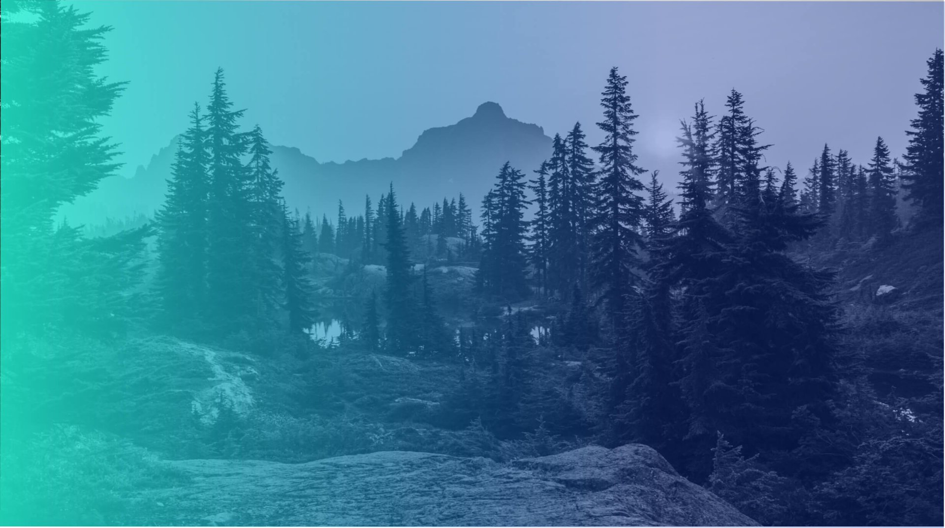 wildfire-forest-hero