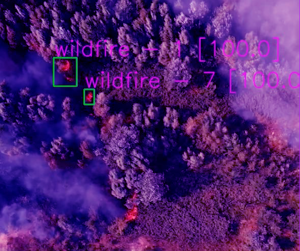wildfire_purple